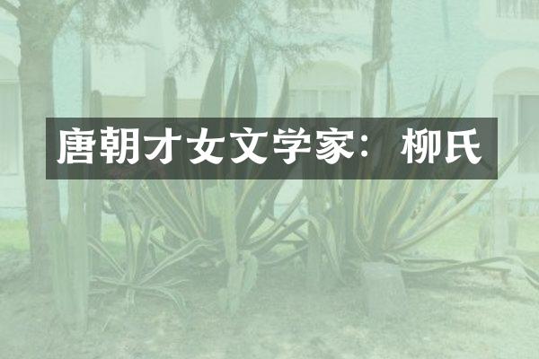 唐朝才女文学家：柳氏
