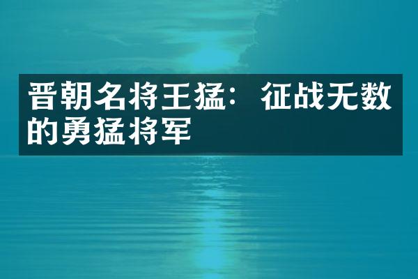 晋朝名将王猛：征战无数的勇猛将军