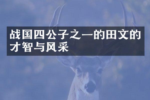 战国四公子之一的田文的才智与风采