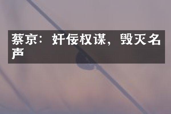 蔡京：奸佞权谋，毁灭名声