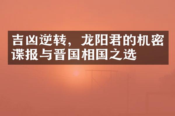 吉凶逆转，龙阳君的机密谍报与晋国相国之选