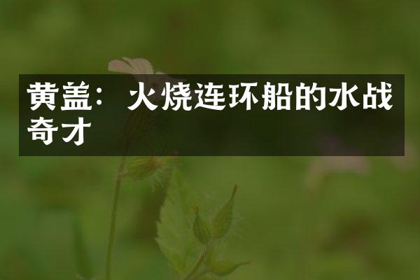 黄盖：火烧连环船的水战奇才