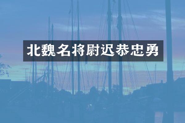北魏名将尉迟恭忠勇