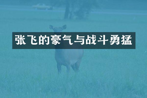 张飞的豪气与战斗勇猛