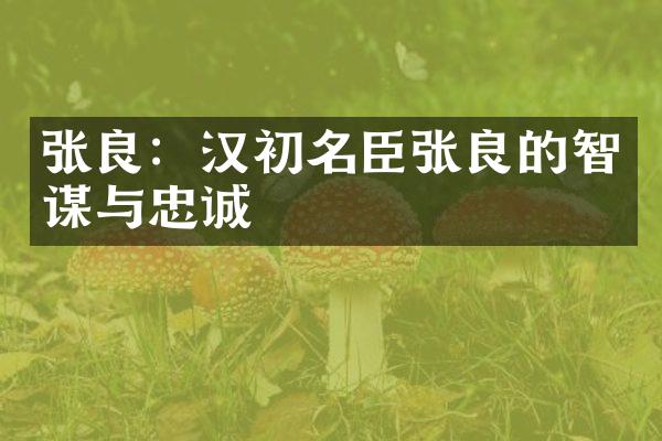 张良：汉初名臣张良的智谋与忠诚