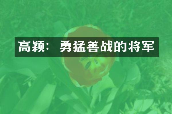 高颖：勇猛善战的将军