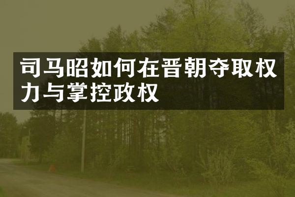 司马昭如何在晋朝夺取权力与掌控政权