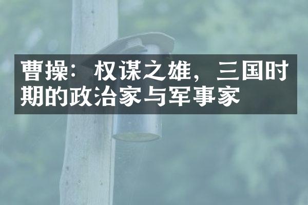 曹操：权谋之雄，三国时期的政治家与军事家