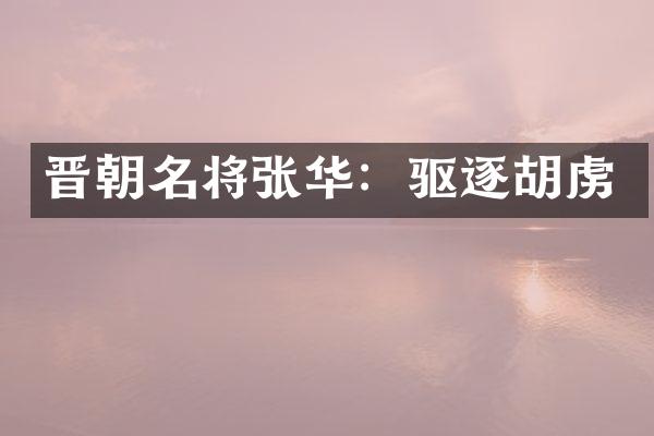 晋朝名将张华：驱逐胡虏