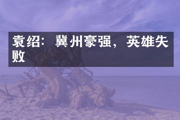袁绍：冀州豪强，英雄失败