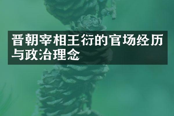 晋朝宰相王衍的官场经历与政治理念