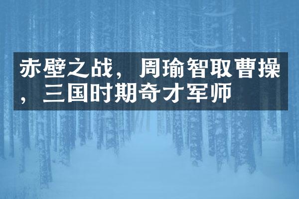 赤壁之战，周瑜智取曹操，三国时期奇才军师
