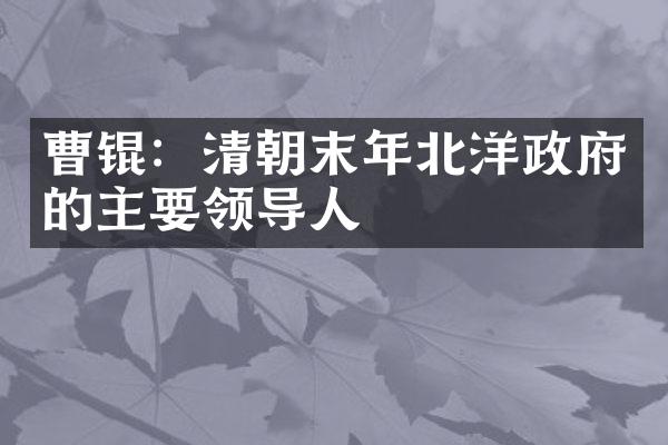 曹锟：清朝末年北洋政府的主要领导人