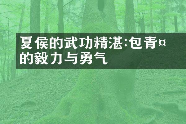 夏侯惇的武功精湛:包青天的毅力与勇气
