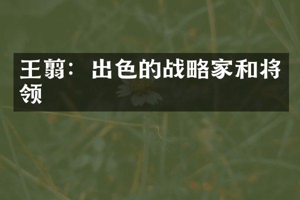 王翦：出色的战略家和将领