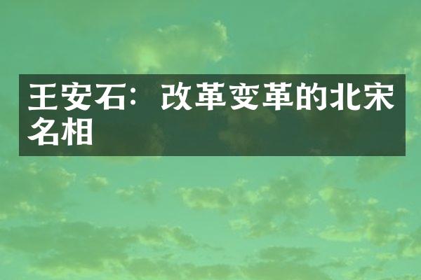 王安石：改革变革的北宋名相