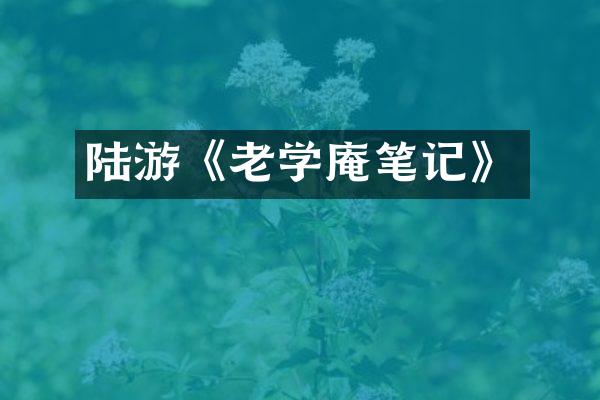 陆游《老学庵笔记》