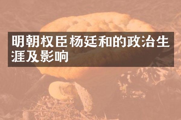 明朝权臣杨廷和的政治生涯及影响