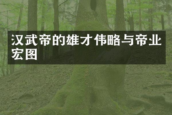 汉武帝的雄才伟略与帝业宏图
