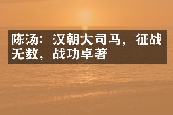 陈汤：汉朝大司马，征战无数，战功卓著