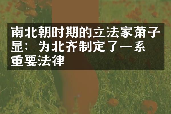 南北朝时期的立法家萧子显：为北齐制定了一系列重要法律