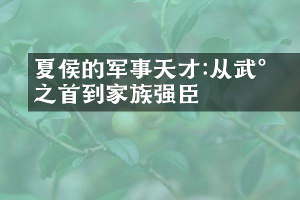 夏侯惇的军事天才:从武将之首到家族强臣
