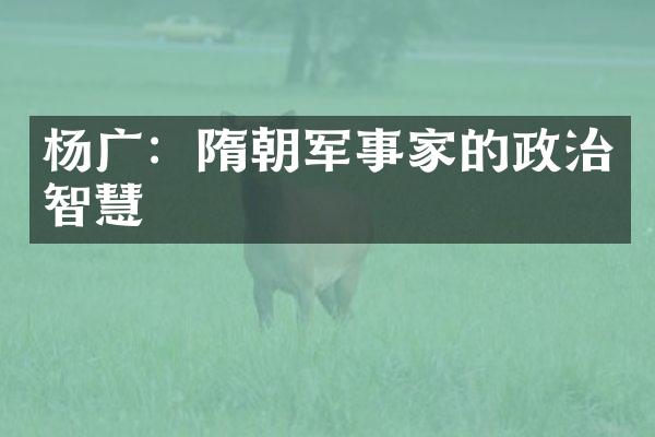 杨广：隋朝军事家的政治智慧