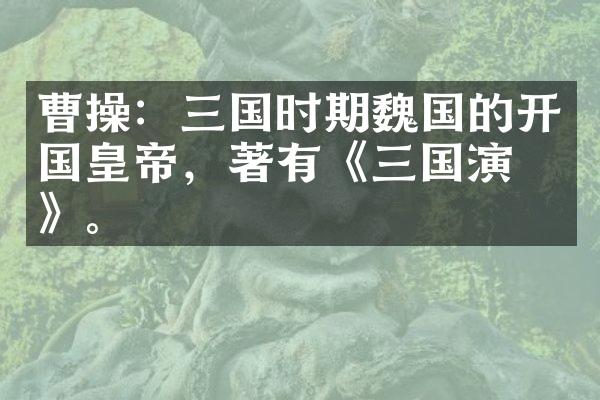 曹操：三国时期魏国的开国皇帝，著有《三国演义》。