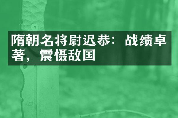 隋朝名将尉迟恭：战绩卓著，震慑敌国