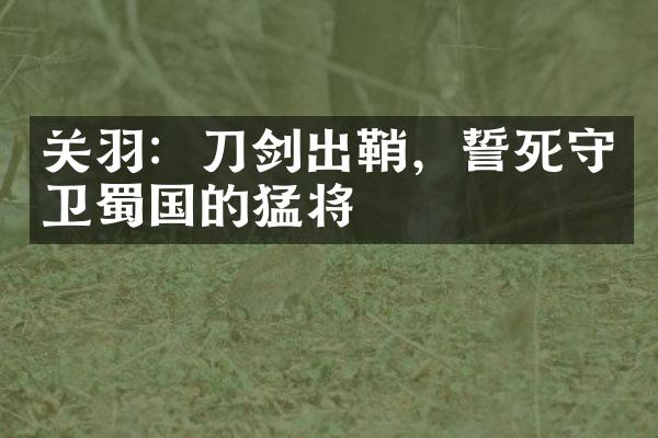 关羽：刀剑出鞘，誓死守卫蜀国的猛将