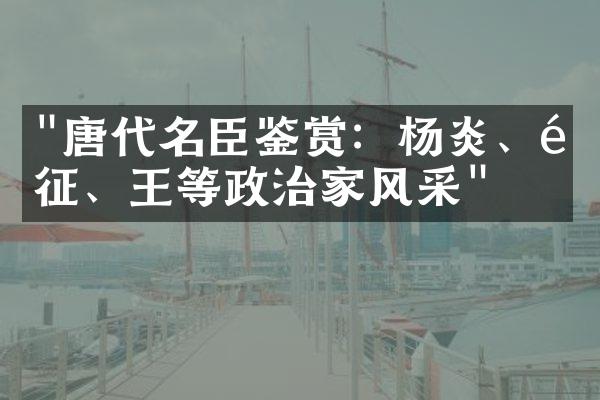 "唐代名臣鉴赏：杨炎、魏征、王珪等政治家风采"