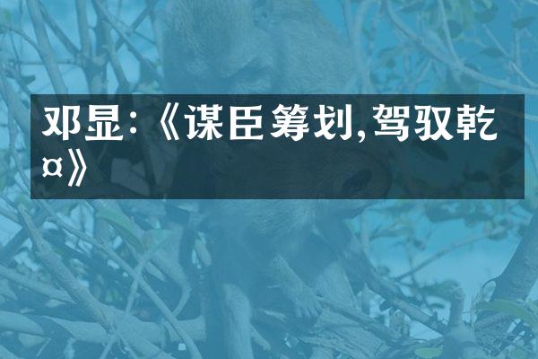 邓显:《谋臣筹划,驾驭乾坤》