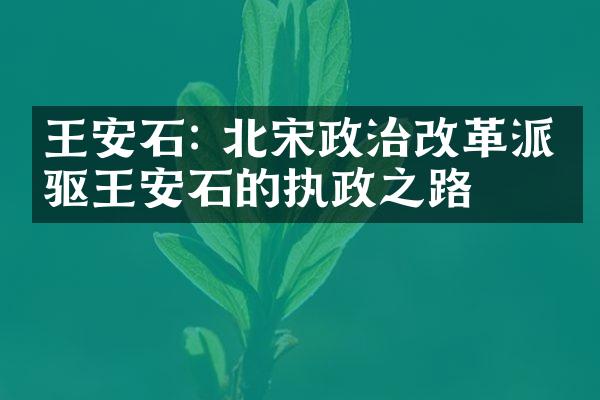 王安石: 北宋政治改革派先驱王安石的执政之路
