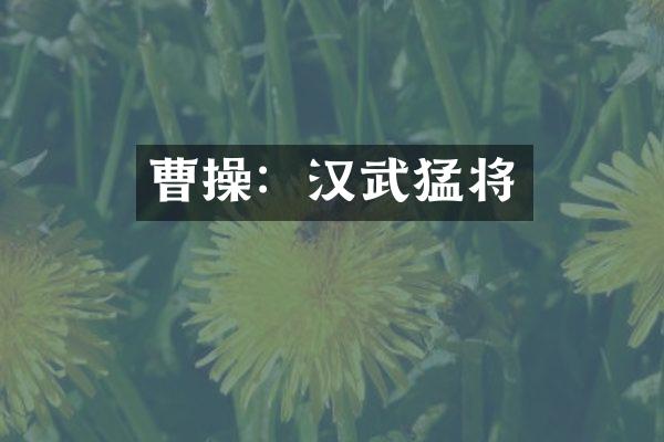曹操：汉武猛将