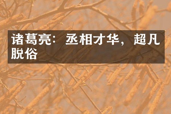 诸葛亮：丞相才华，超凡脱俗