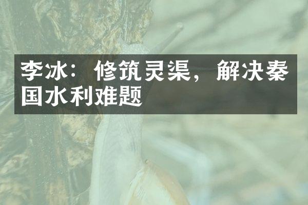 李冰：修筑灵渠，解决秦国水利难题