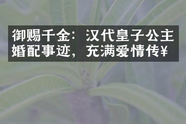 御赐千金：汉代皇子公主婚配事迹，充满爱情传奇