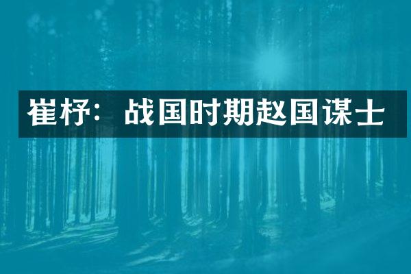 崔杼：战国时期赵国谋士