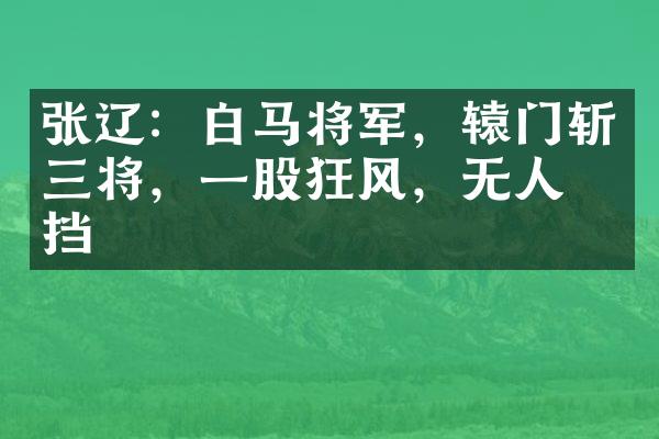 张辽：白马将军，辕门斩三将，一股狂风，无人可挡