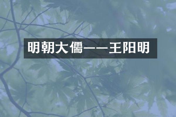 明朝大儒&mdash;&mdash;王阳明