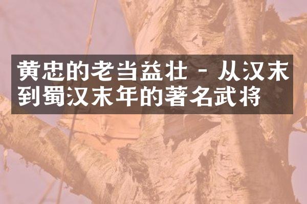 黄忠的老当益壮 - 从汉末到蜀汉末年的著名武将