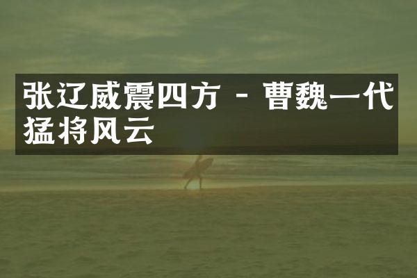 张辽威震四方 - 曹魏一代猛将风云
