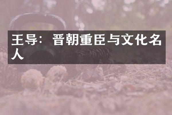 王导：晋朝重臣与文化名人
