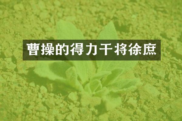 曹操的得力干将徐庶