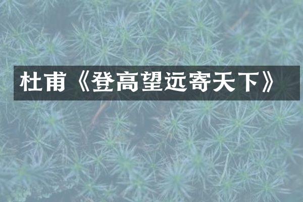 杜甫《登高望远寄天下》