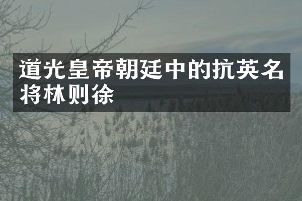 道光皇帝朝廷中的抗英名将林则徐