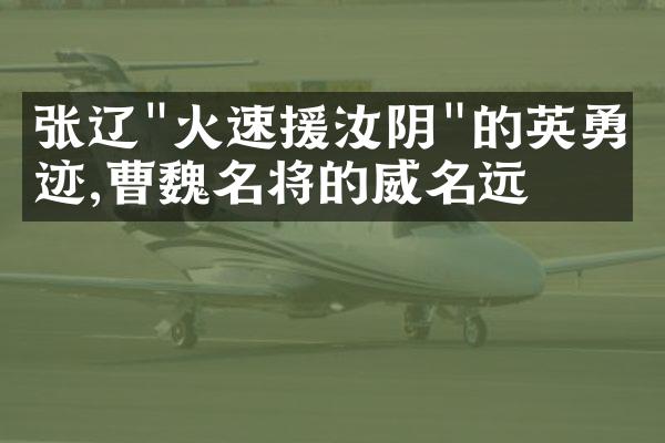 张辽"火速援汝阴"的英勇事迹,曹魏名将的威名远播