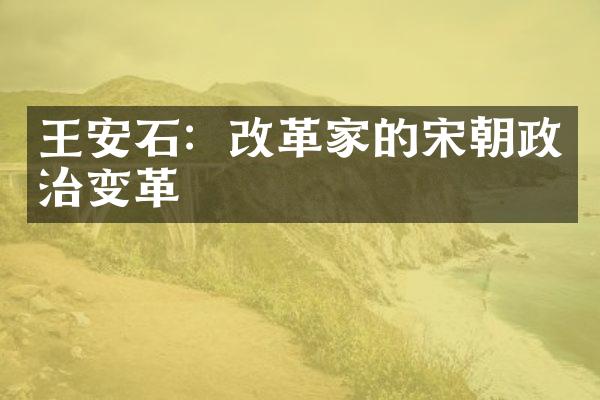 王安石：改革家的宋朝政治变革