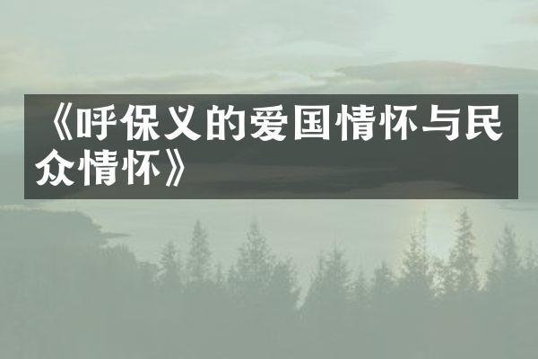 《呼保义的爱国情怀与民众情怀》