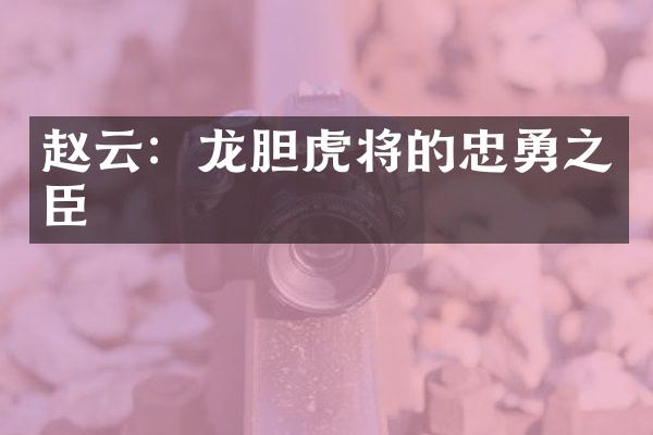 赵云：龙胆虎将的忠勇之臣